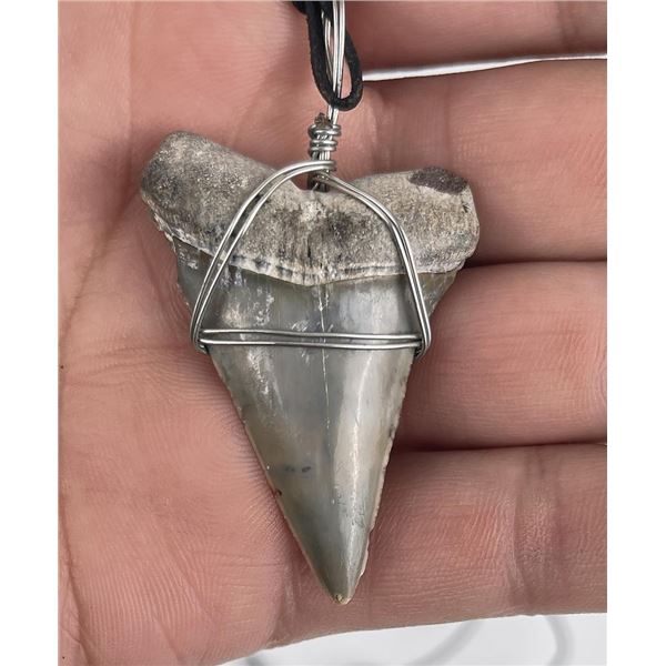 Ancient Fossil Shark Tooth Necklace