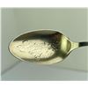 Image 3 : Sterling Silver Florida Enamel Spoon