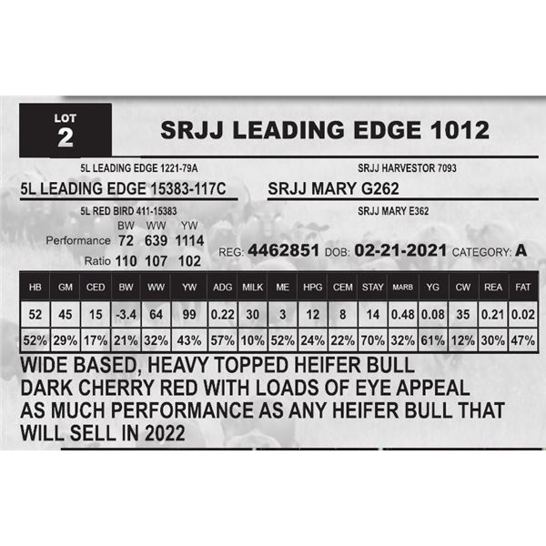 SRJJ LEADING EDGE 1012