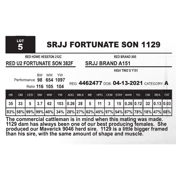 SRJJ FORTUNATE SON 1129