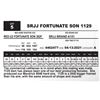 Image 1 : SRJJ FORTUNATE SON 1129