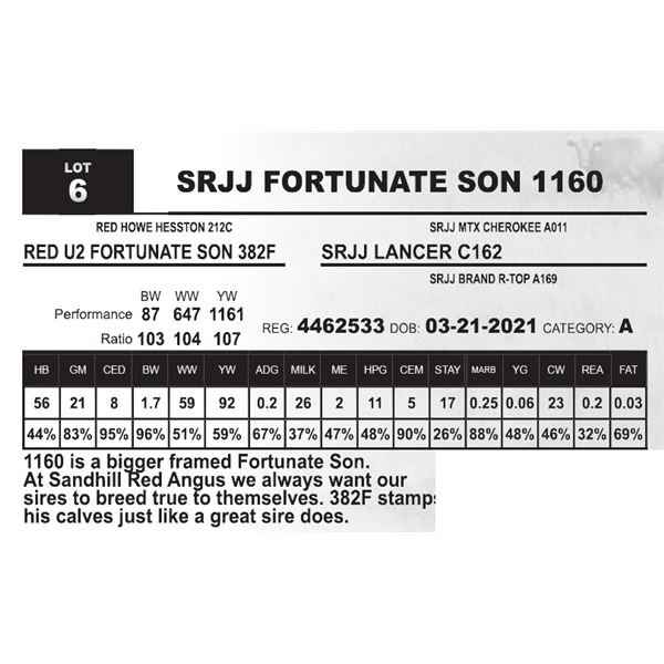 SRJJ FORTUNATE SON 1160