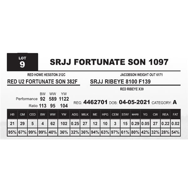 SRJJ FORTUNATE SON 1097