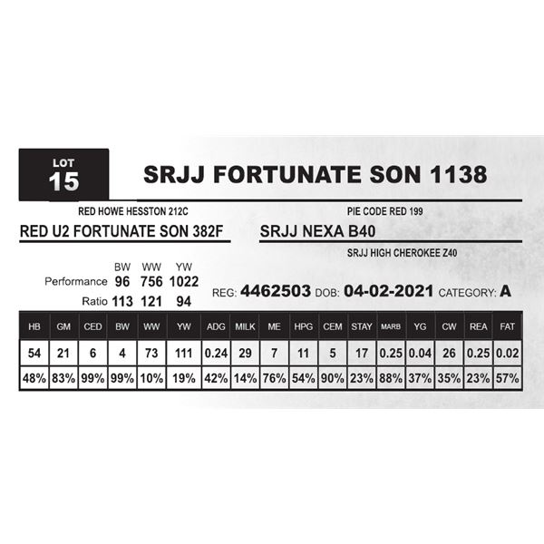 SRJJ FORTUNATE SON 1138