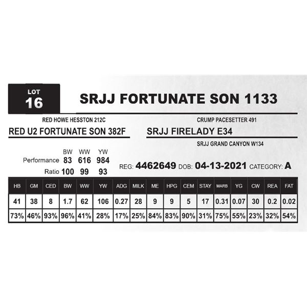 SRJJ FORTUNATE SON 1133