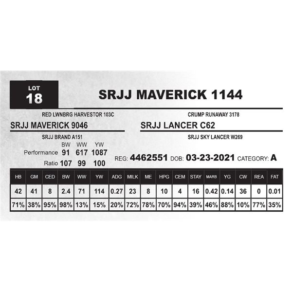 SRJJ MAVERICK 1144