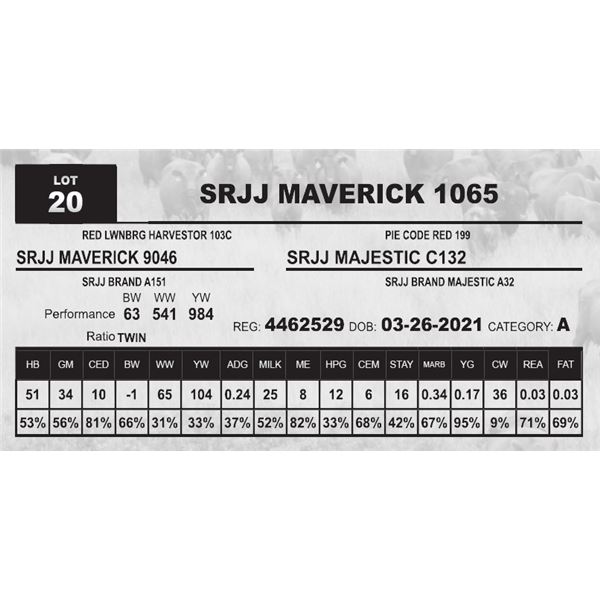 SRJJ MAVERICK 1065