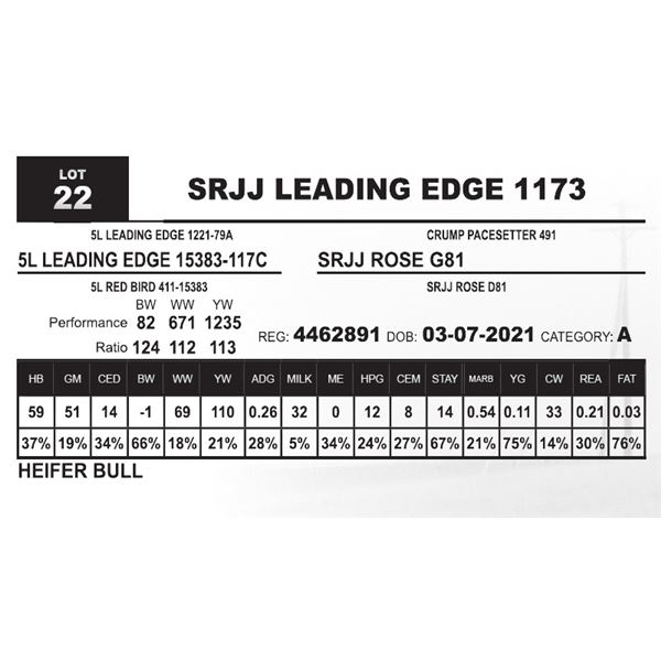 SRJJ LEADING EDGE 1173