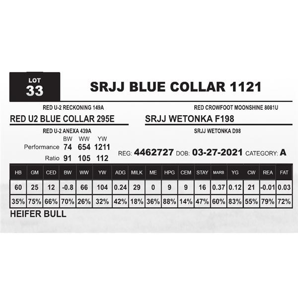 SRJJ BLUE COLLAR 1121