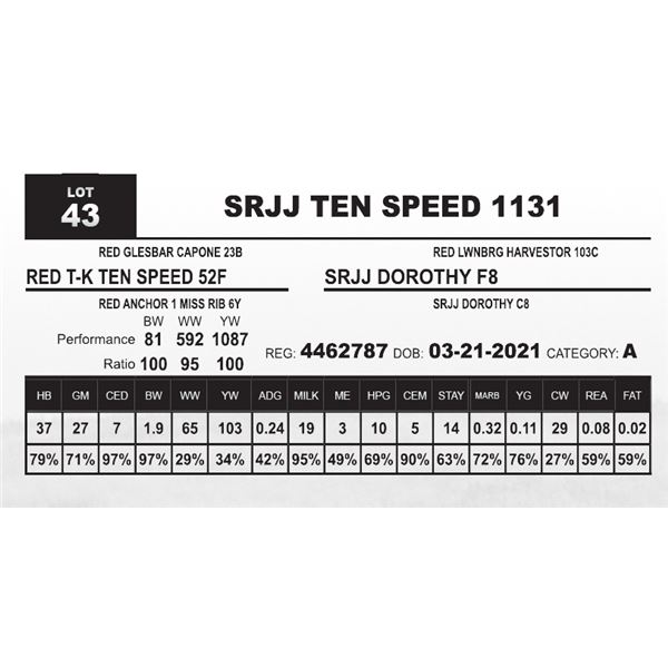 SRJJ TEN SPEED 1131