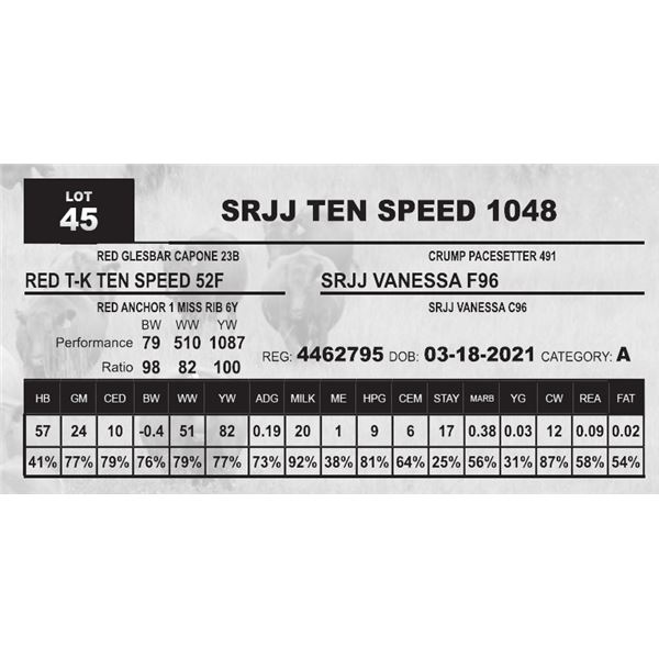 SRJJ TEN SPEED 1048