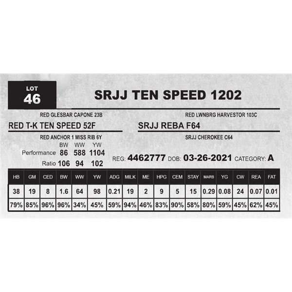 SRJJ TEN SPEED 1202