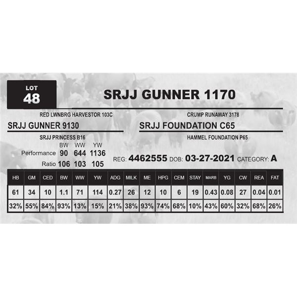 SRJJ GUNNER 1170