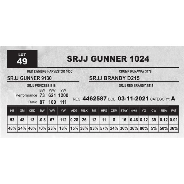 SRJJ GUNNER 1024