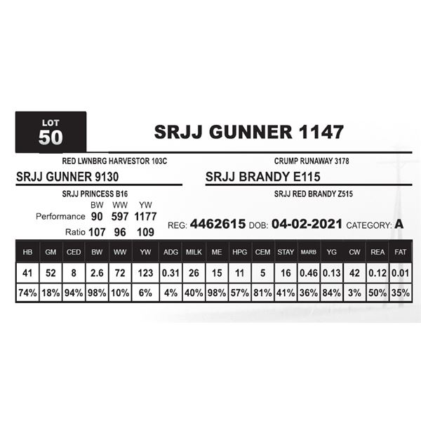 SRJJ GUNNER 1147