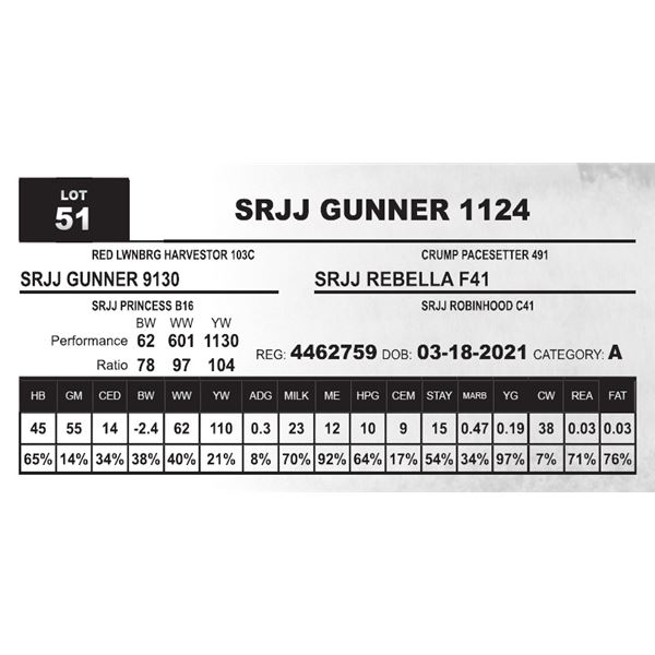 SRJJ GUNNER 1124