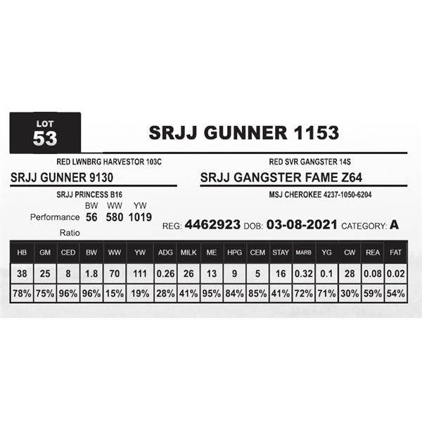 SRJJ GUNNER 1153