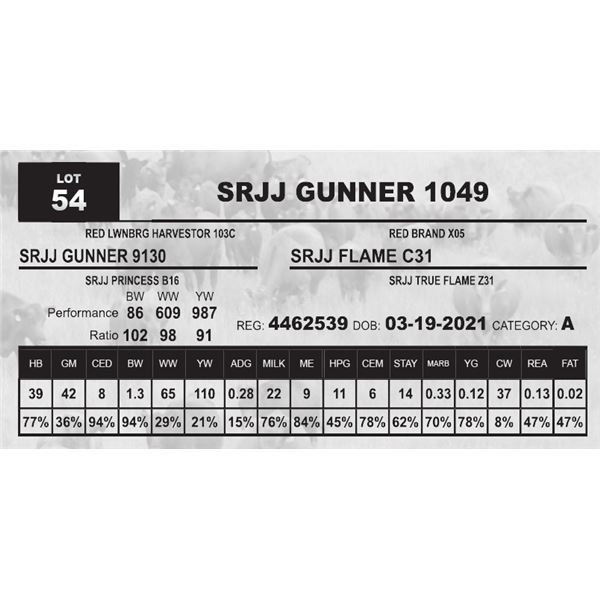 OUT OF SALE - SRJJ GUNNER 1049