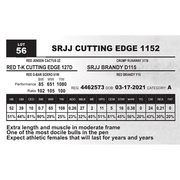 SRJJ CUTTING EDGE 1152