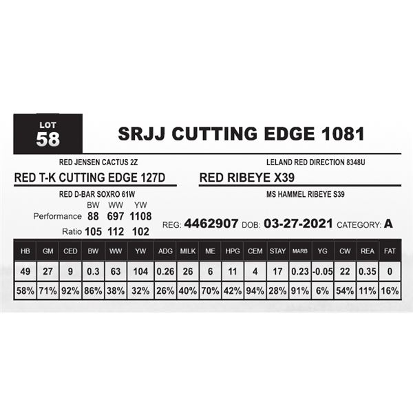 SRJJ CUTTING EDGE 1081