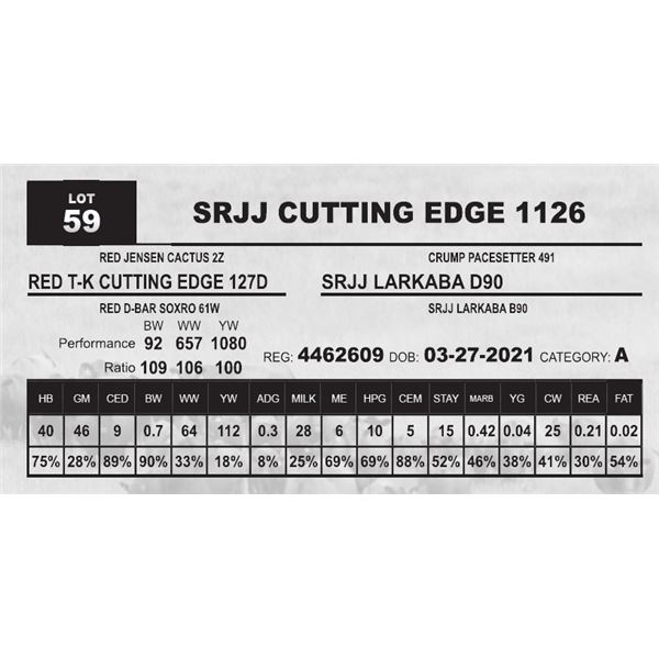 SRJJ CUTTING EDGE 1126