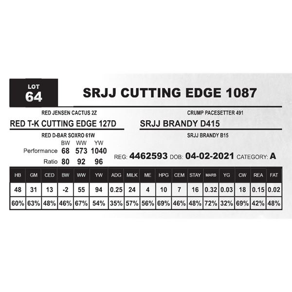 SRJJ CUTTING EDGE 1087