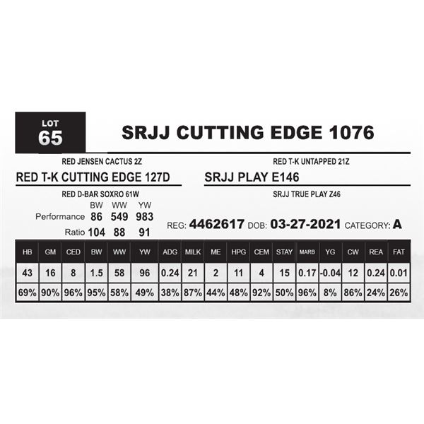 SRJJ CUTTING EDGE 1076