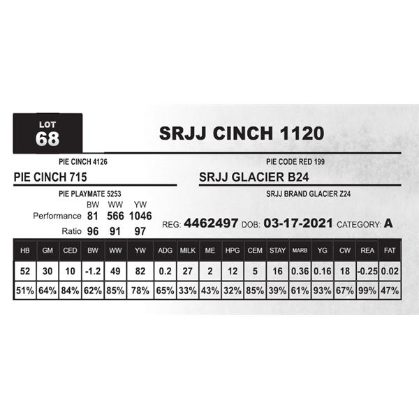 SRJJ CINCH 1120