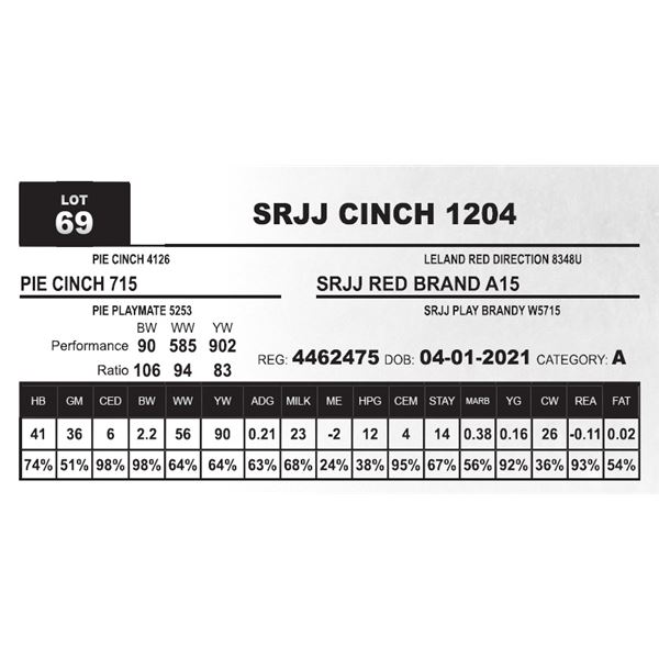 SRJJ CINCH 1204