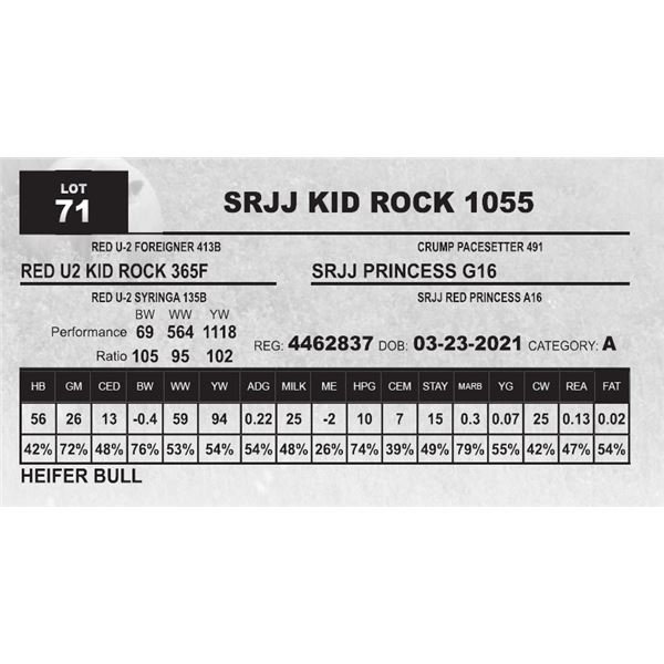 SRJJ KID ROCK 1055