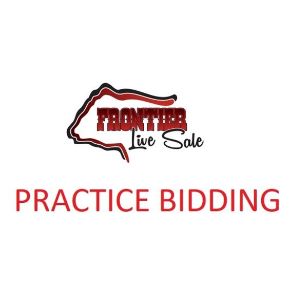 Practice Bidding