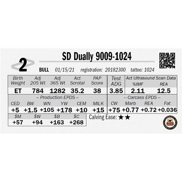 SD Dually 9009-1024