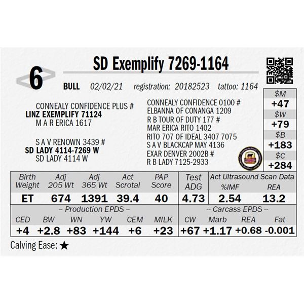 SD Exemplify 7269-1164