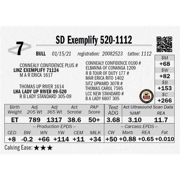 SD Exemplify 520-1112