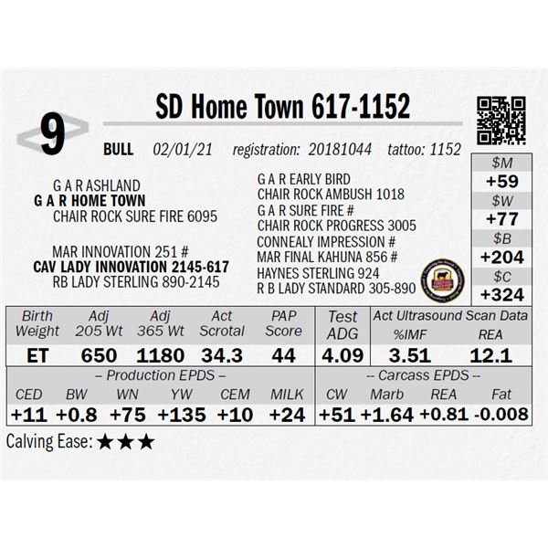 SD Home Town 617-1152