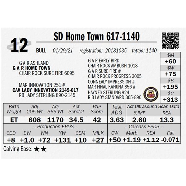 SD Home Town 617-1140