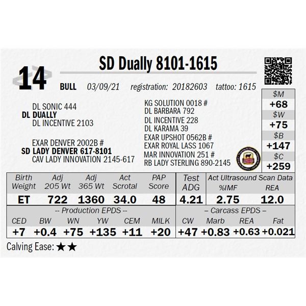 SD Dually 8101-1615