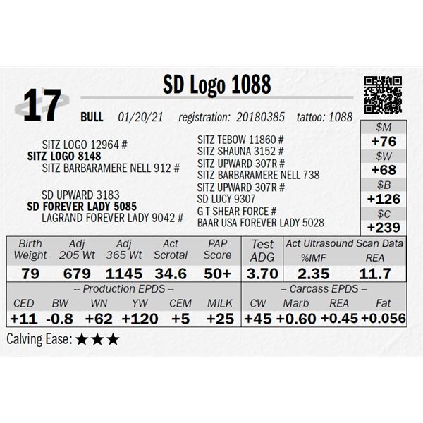 SD Logo 1088