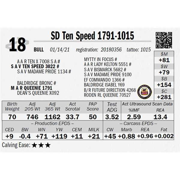 SD Ten Speed 1791-1015
