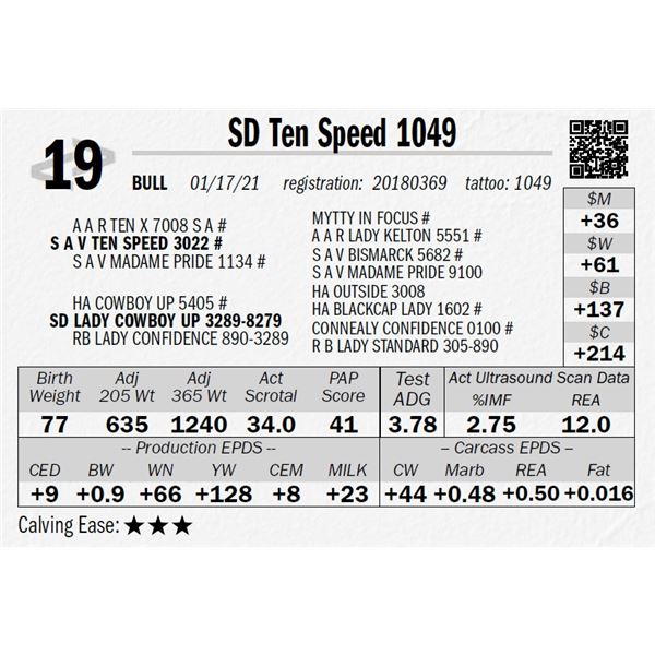 SD Ten Speed 1049