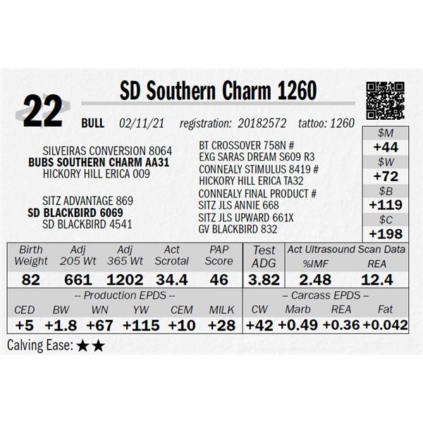 SD Southern Charm 1260