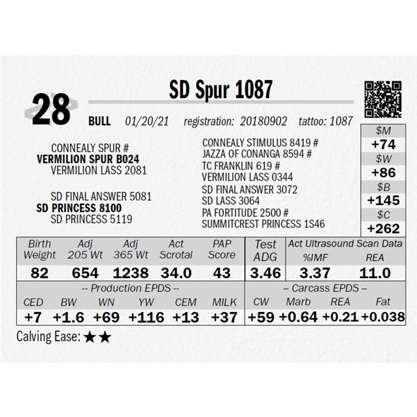 SD Spur 1087