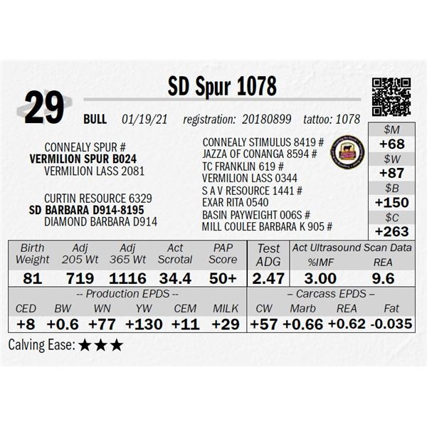 SD Spur 1078