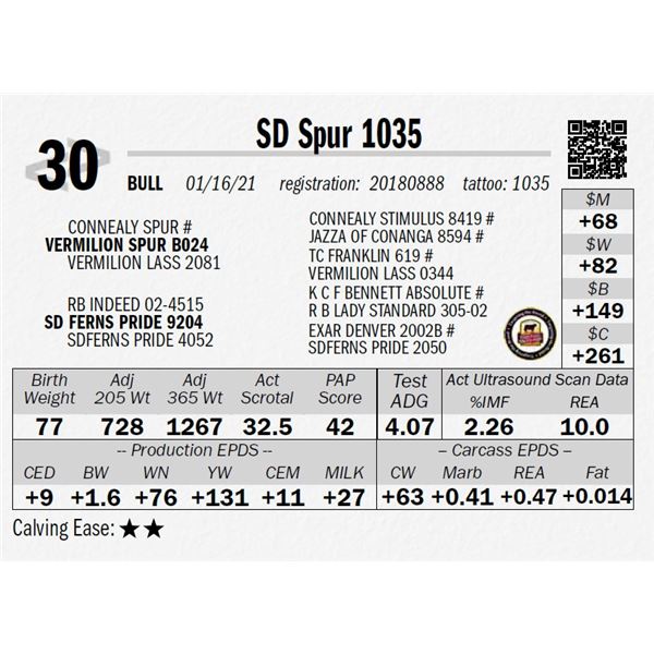 SD Spur 1035