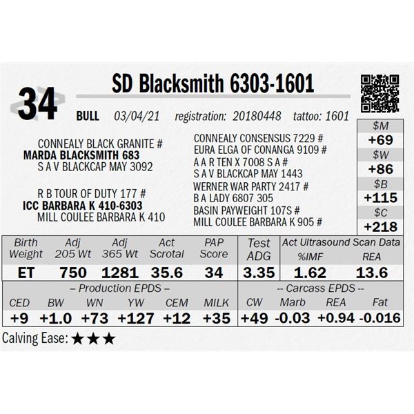 SD Blacksmith 6303-1601