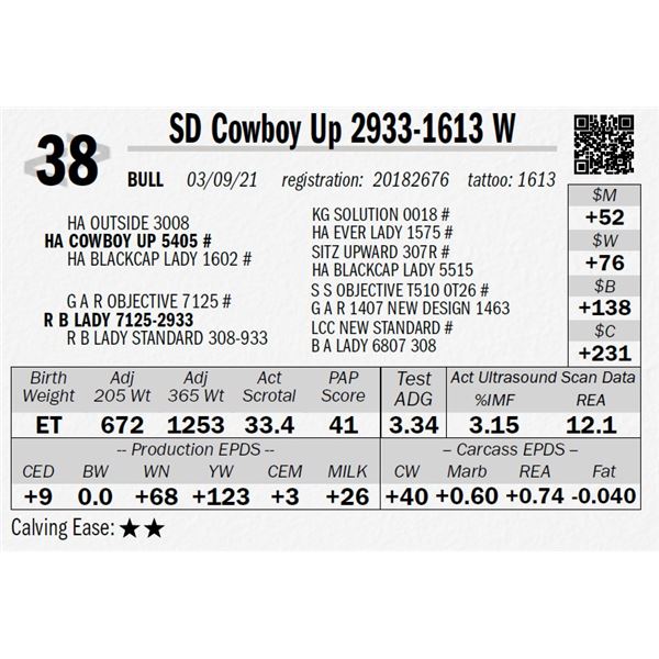 SD Cowboy Up 2933-1613 W