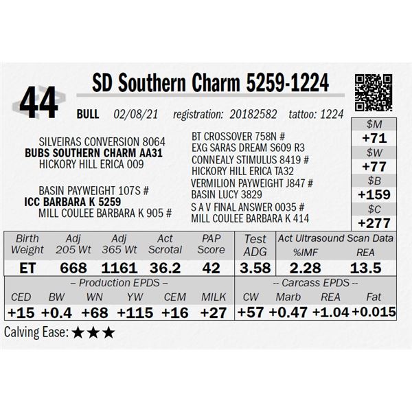 SD Southern Charm 5259-1224