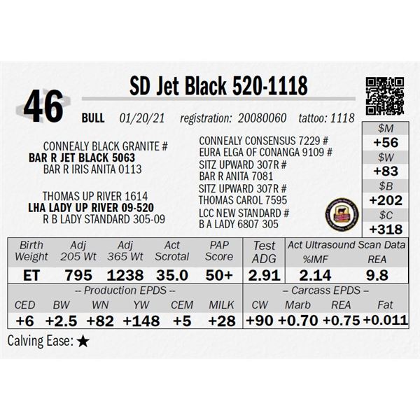 SD Jet Black 520-1118