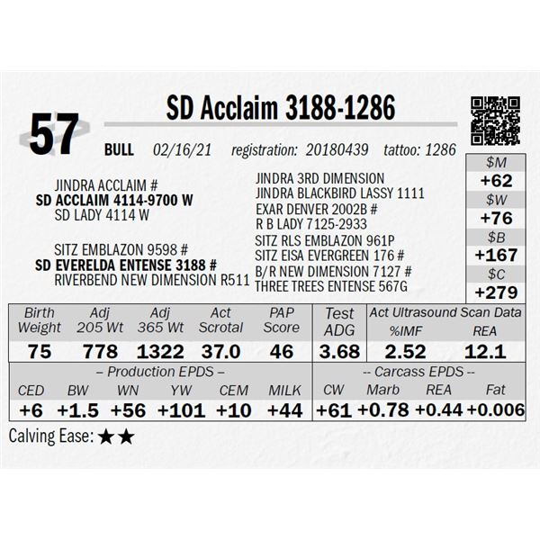 SD Acclaim 3188-1286