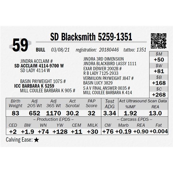 SD Blacksmith 5259-1351